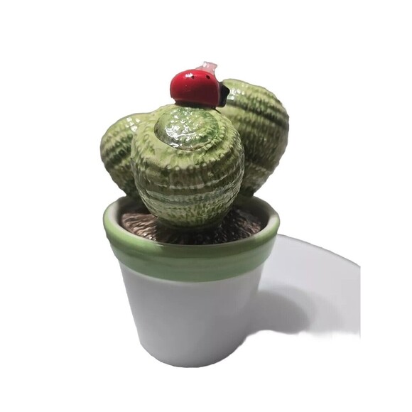 Ceramica Novità Succulents Ceramic Handmade Decorations Made In Italy - Picture 5 of 9